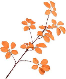 Silk-Ka kunsttak Wilde Wingerd oranje 124 cm