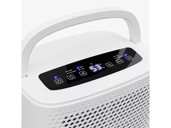 Pro Breeze Déshumidificateur 12ljour avec 3 modes déshumidification de pièce jusqu'à 20 m²
