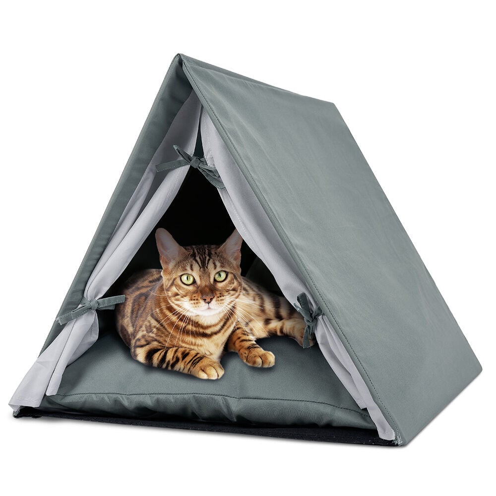 Tente pour chat et petit chien
