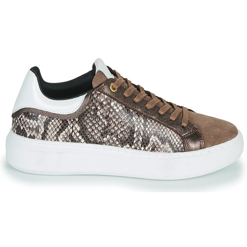 JB Martin - HIBISCUS - MIX PYTHON MARRON