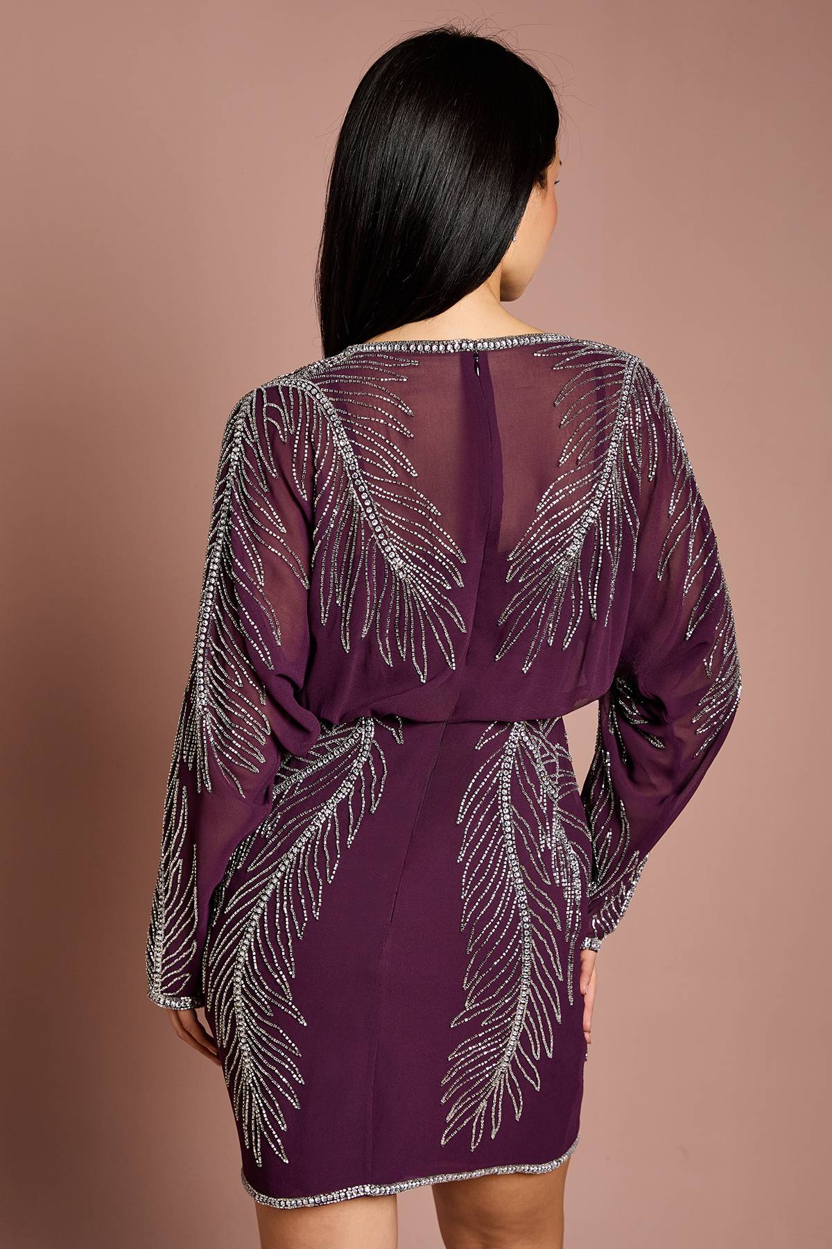 Coast Robe Mini Petite à Manches Longues Ornée de Plumes Placement