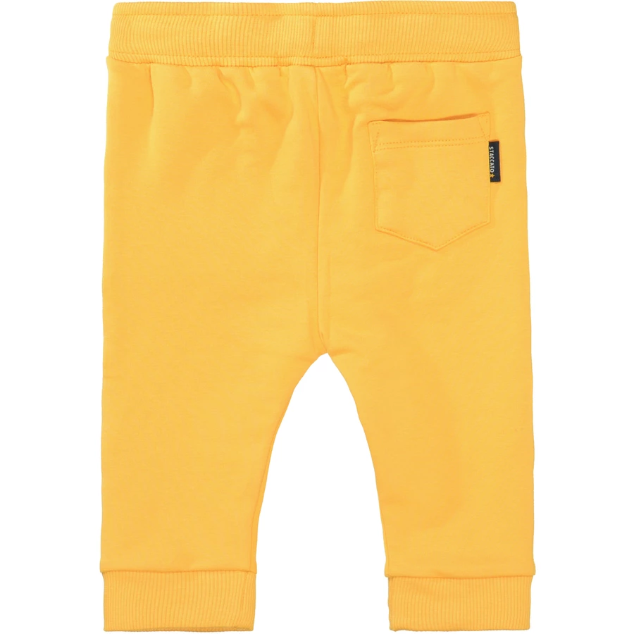 STACCATO Jogginghose dark sun
