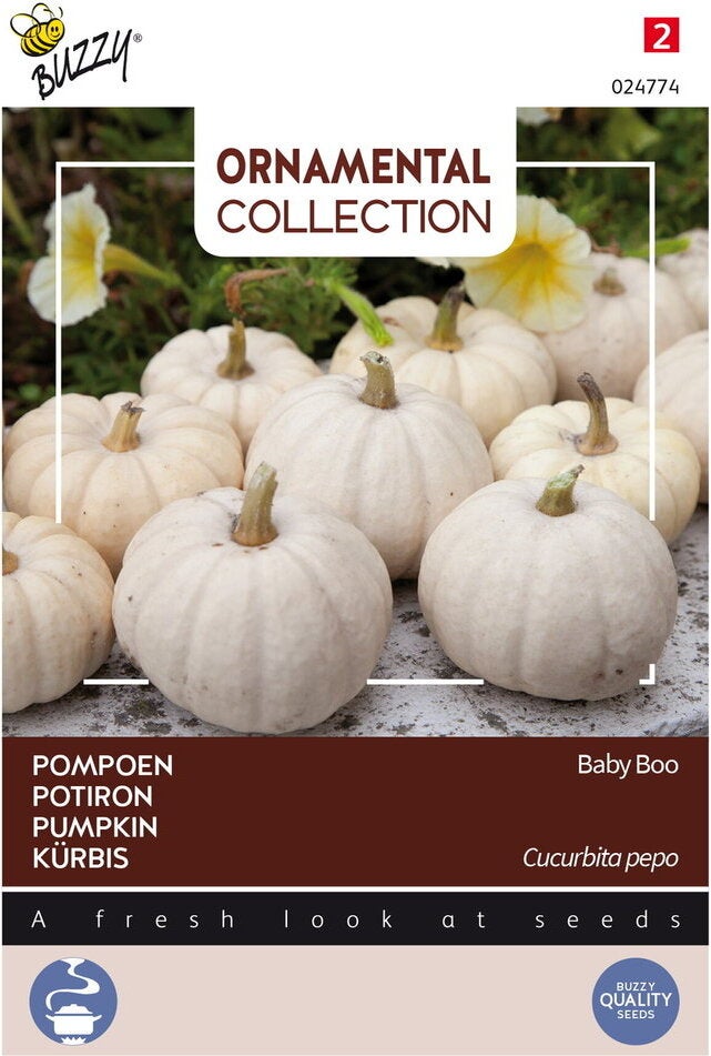 Buzzy® Ornamental groentezaad Pompoen (Cucurbita 'Baby Boo')