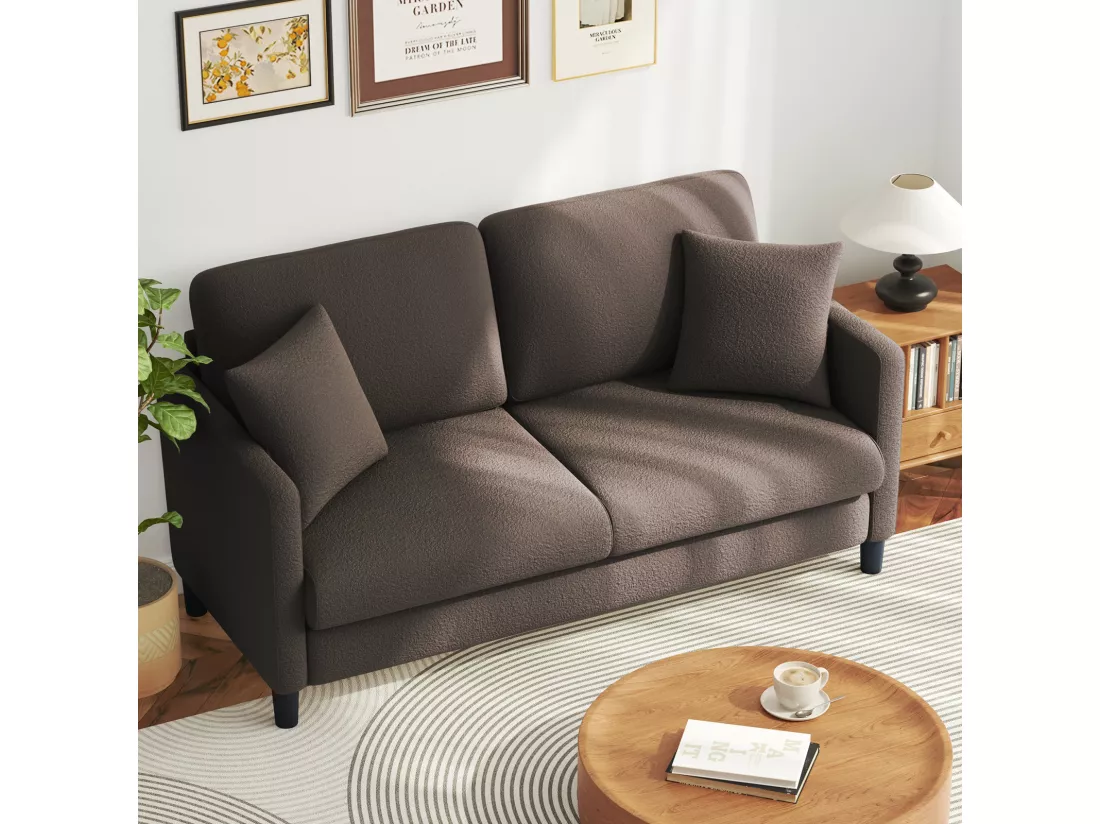 Canapé 2/3 Places en Velours Teddy,Canapé Droit Confort en Bois Massif,Loveseat avec Accoudoirs,165x78x89cm,Marron