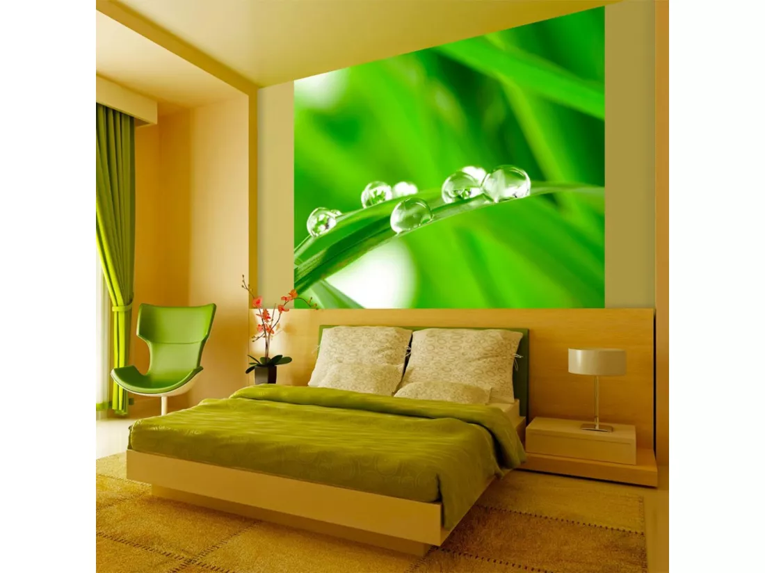 Papier peint gouttes d'eau sur un brin d'herbe - 200 x 154 cm
