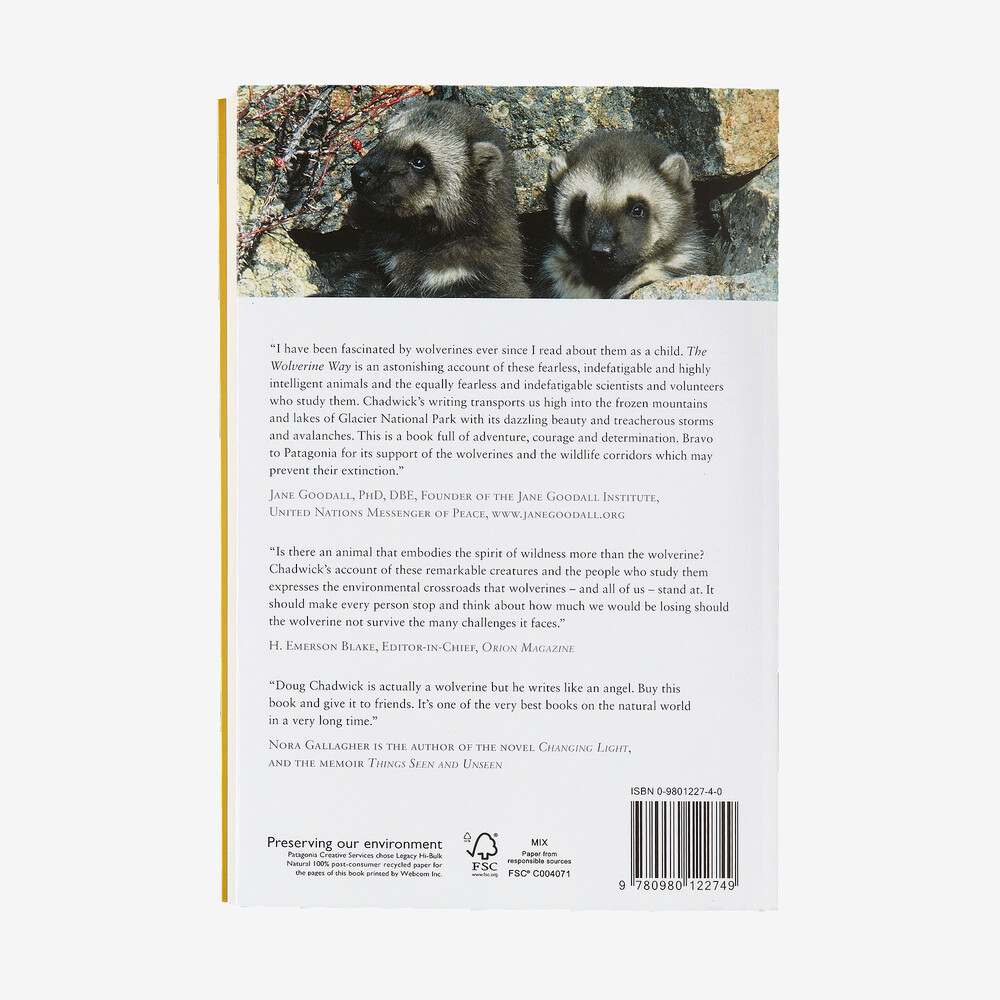 Der Wolverine-Weg von Douglas Chadwick (Patagonia-Taschenbuch)