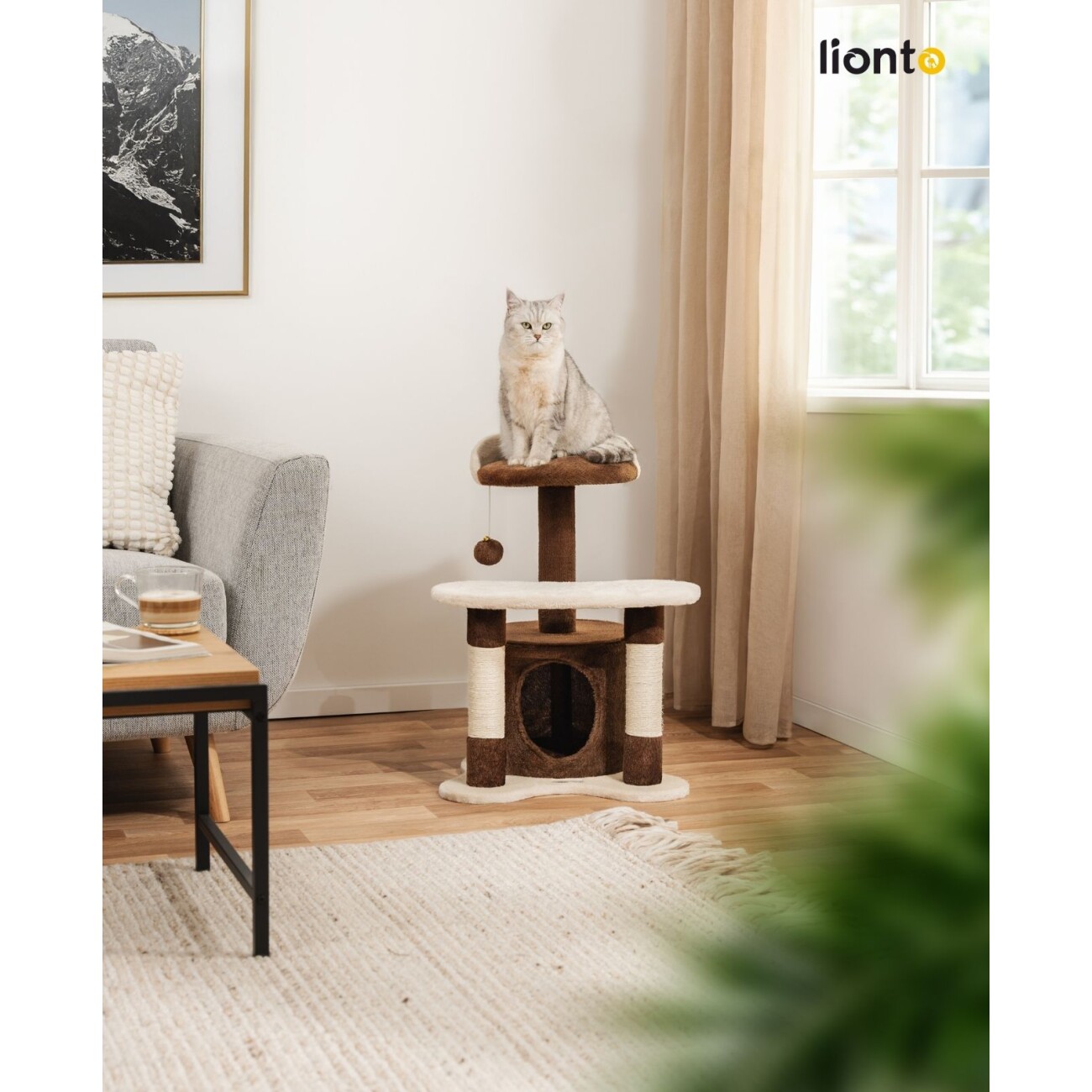 Lionto Kratzbaum Höhe 65 cm braun/ beige