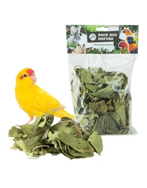 Back Zoo Nature Discovery Leaves Orchard - Natuurlijk Speelgoed - ca. 65 g
