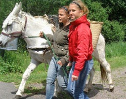 Eseltrekking in Feldberg als Geschenkidee