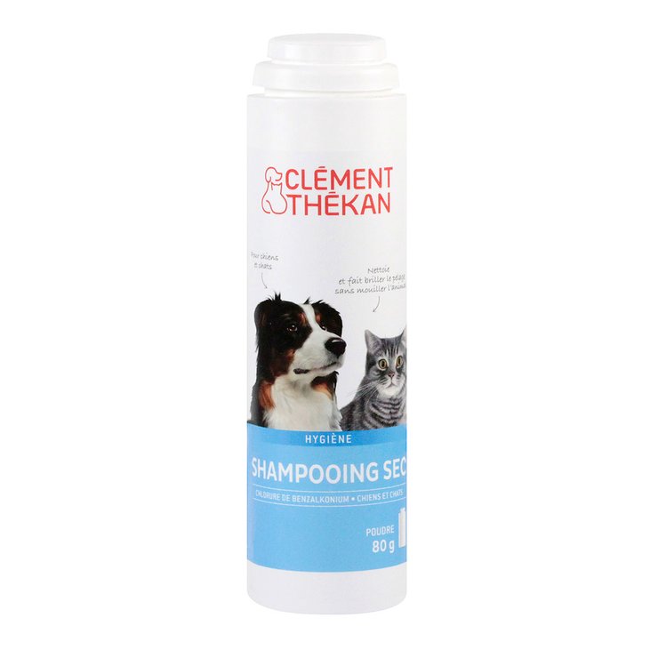 Shampooing sec 80g