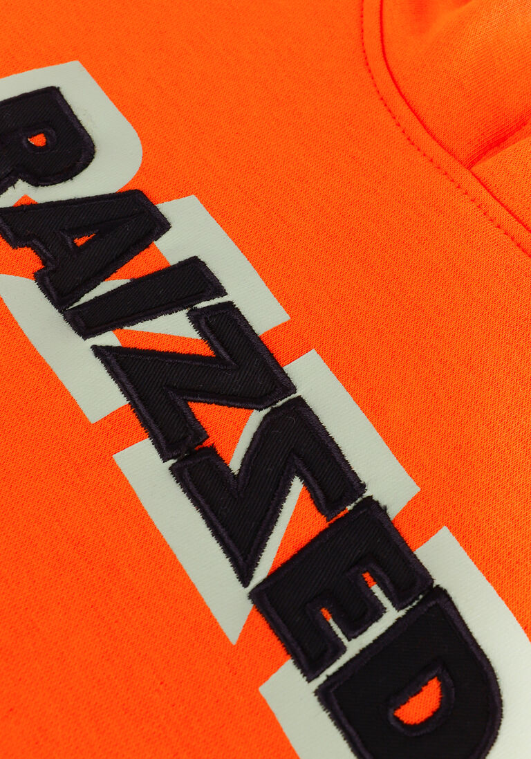 RAIZZED oranje raizzed sweater wilkes