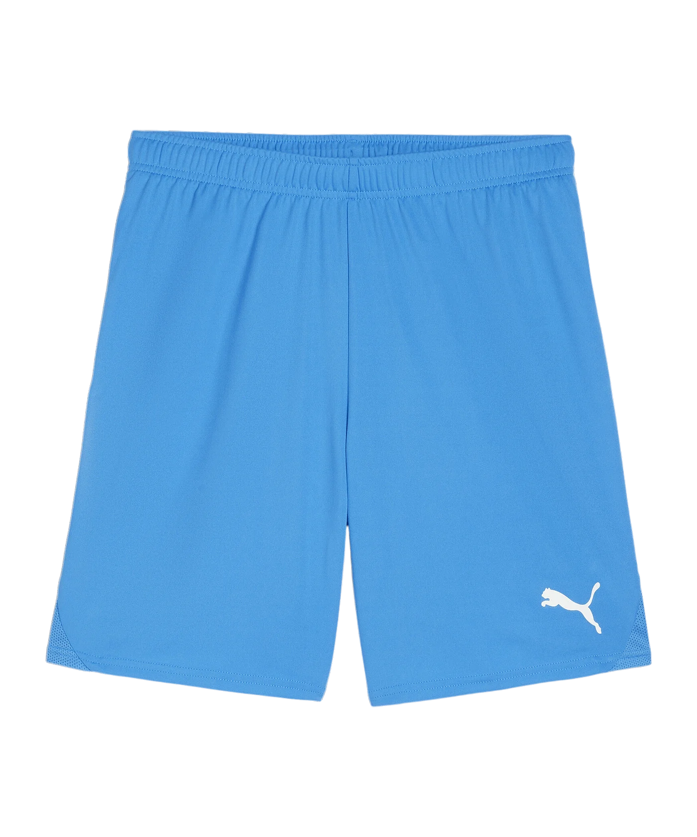 PUMA teamGOAL Short Blau Weiss F02