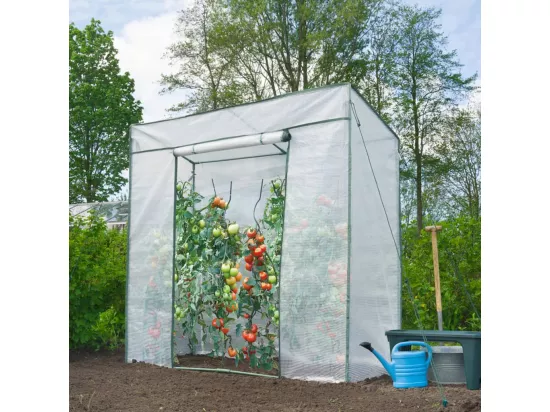 Serre a tomates - H200 x 198 x 78 cm