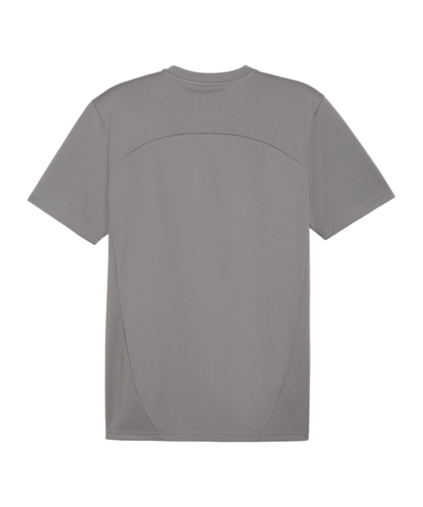 PUMA teamFINAL Trikot Grau F13