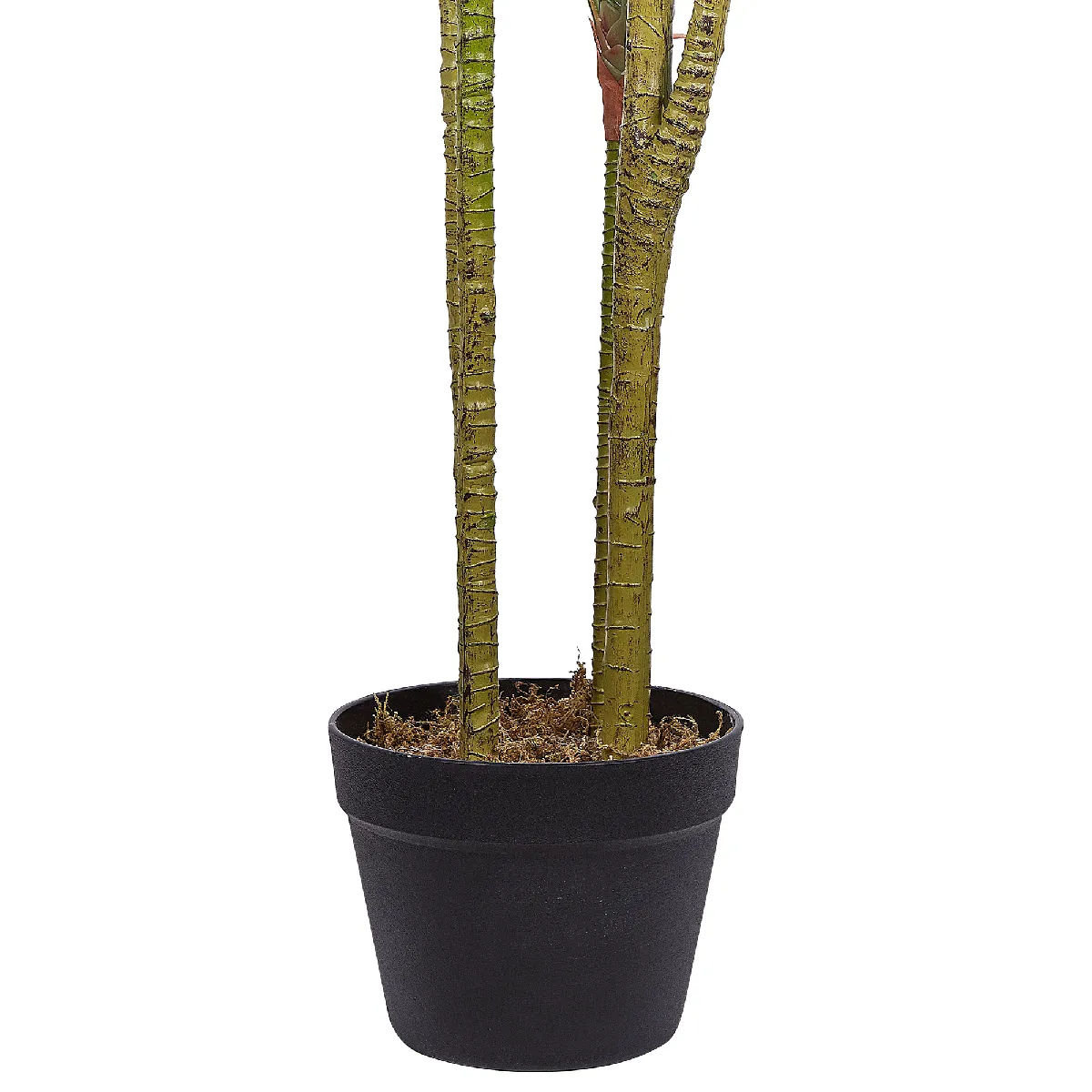 BELIANI DRACAENA ANITA 147 cm - Vert