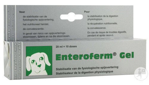 Enteroferm Gel Stabilisateur De La Digestion Psychologique Chien Chat Doses 10x2ml