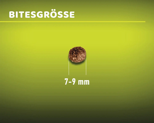 MR.BEEF droogvoer voor katten, graanvrij, 3 kg, rundvlees en kip, non-GMO, geen toegevoegde suikers, geen kunstmatige kleurstoffen, geen soja. Gemaakt in Duitsland.