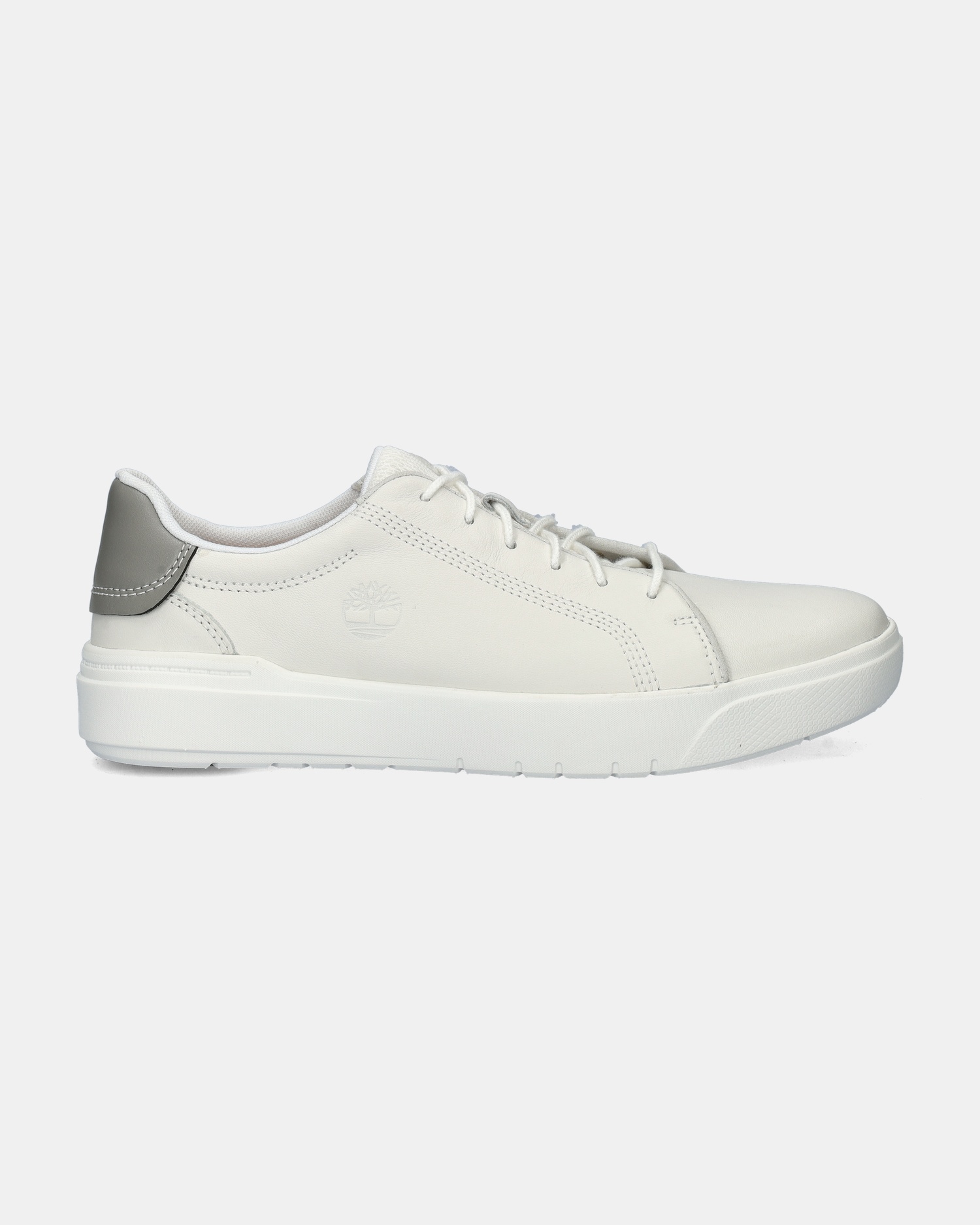 Timberland Seneca Bay Lage sneakers  - wit