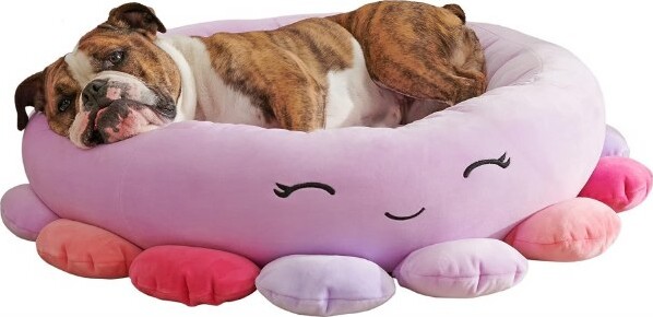 Squishmallows Pet Bed - Beula Octopus - Kæledyrsseng - 61 CM