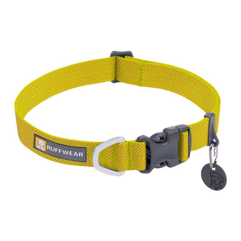 Hi \u0026 Light Collar - Collier pour chien