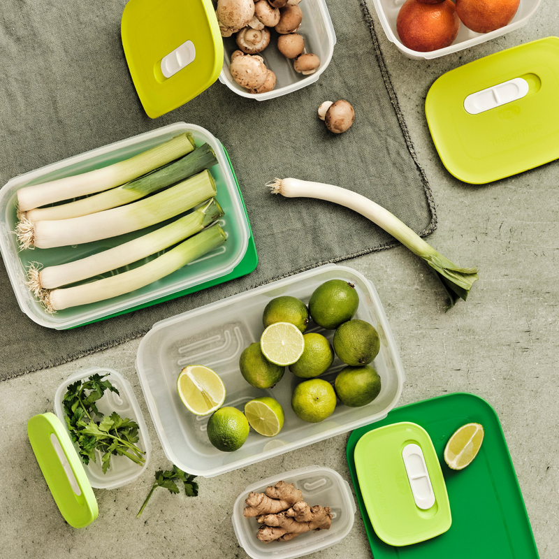KlimaOasen-Set (5) Grundausstattung zum Frischhalten von Gemüse, Obst und Kräuter