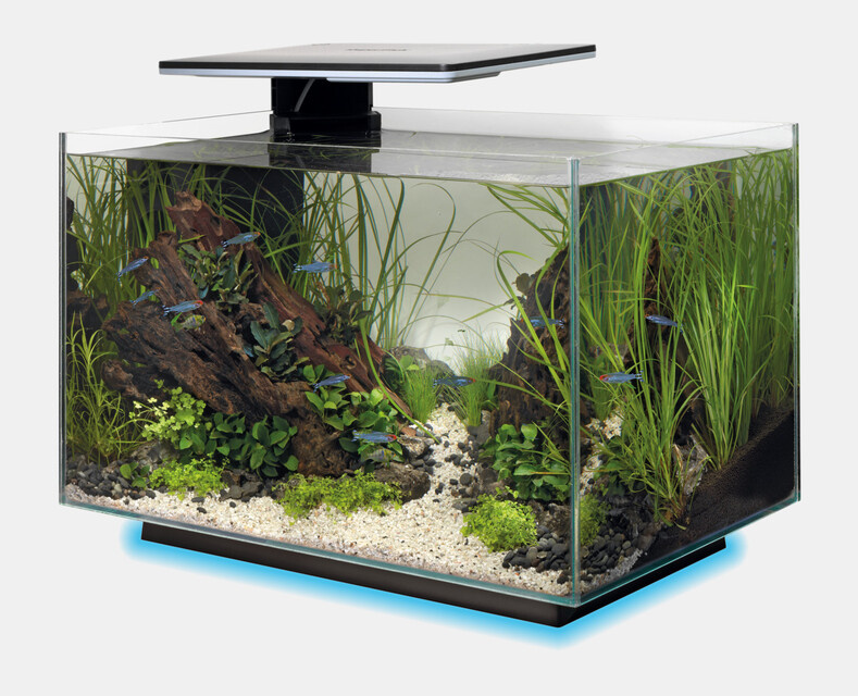 Superfish Aquarium Quadro 40 Multi Colour Zwart