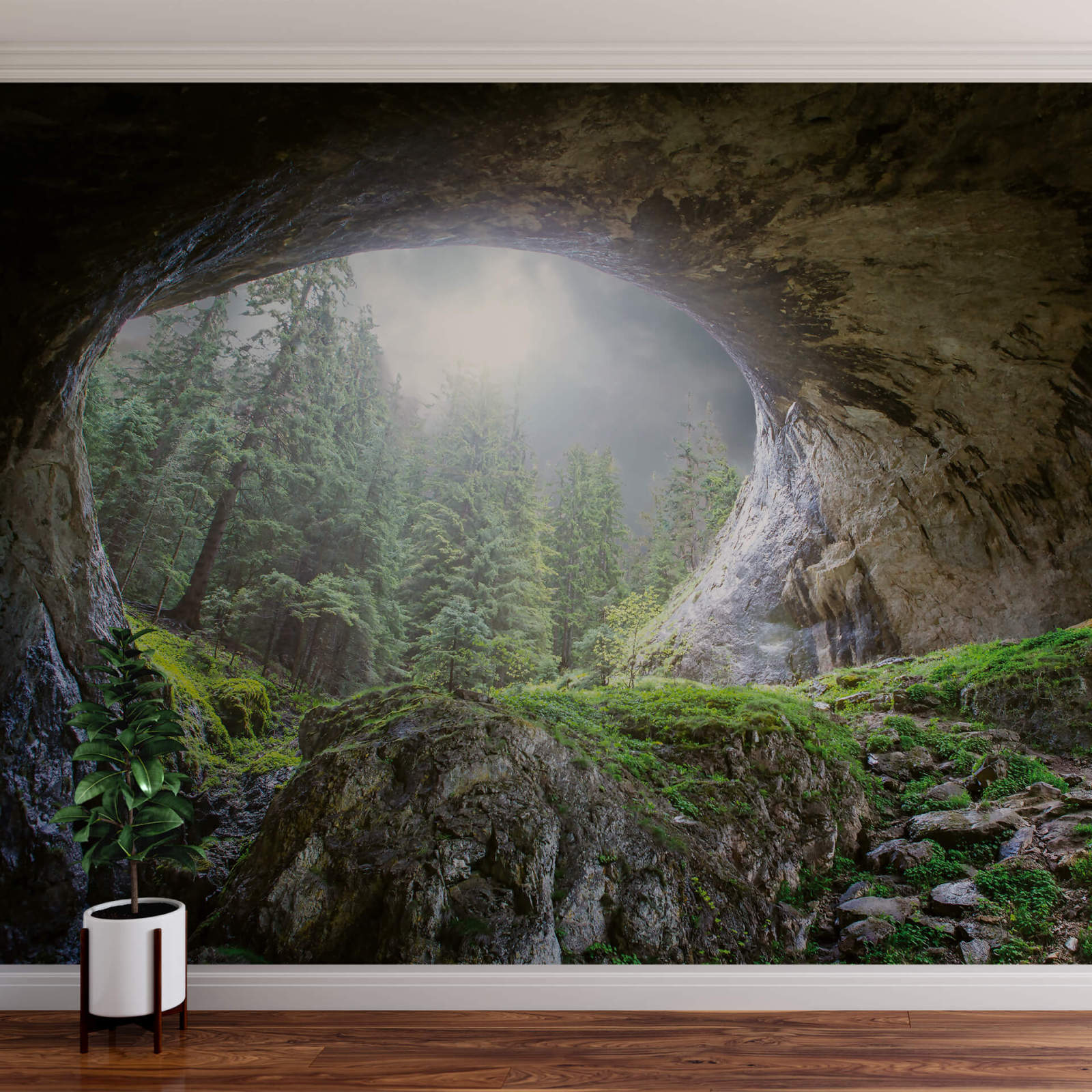 Fototapete DESIGNWALLS 2.0 - grün-grau - Wald - 2,6 Meter