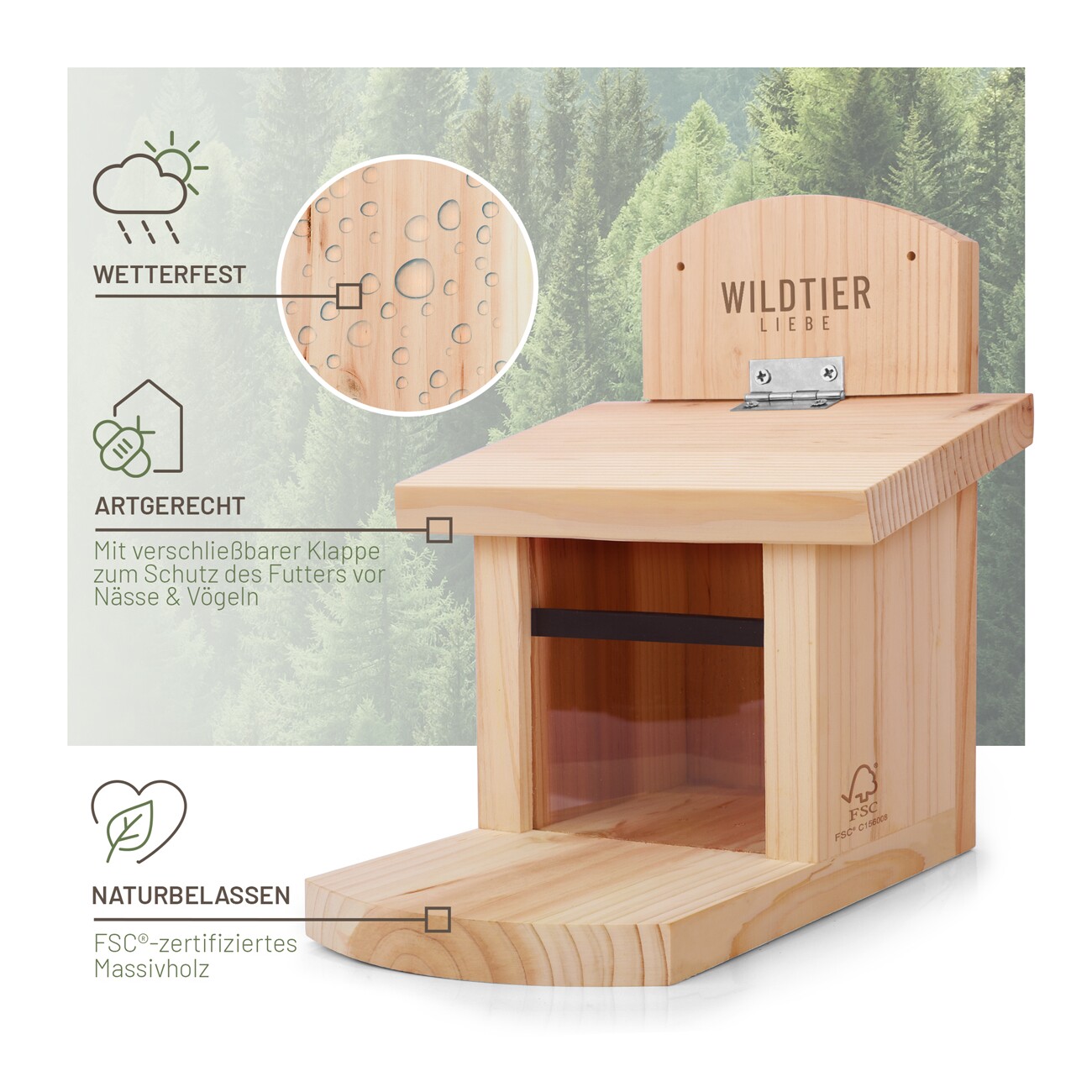 wildtier liebe Eichhörnchen Futterhaus
