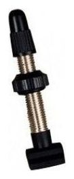 Valve tubeless XENTIS