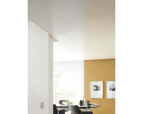 Decoratief paneel Trendy Duo kristalwit 10x200x1200 mm