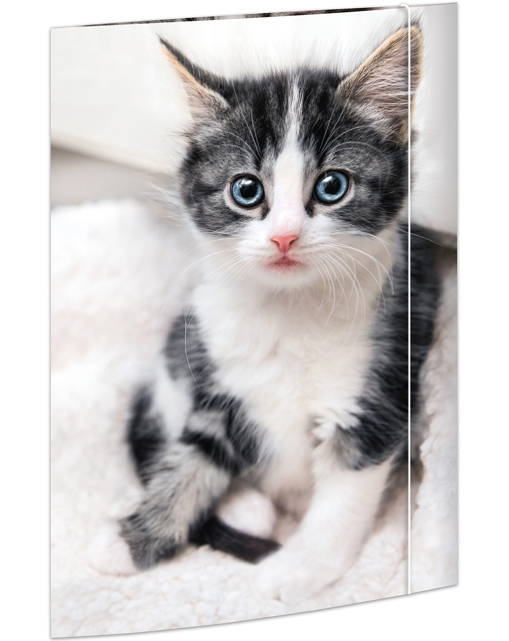 Zeichenmappe KATZE (31x44) A3