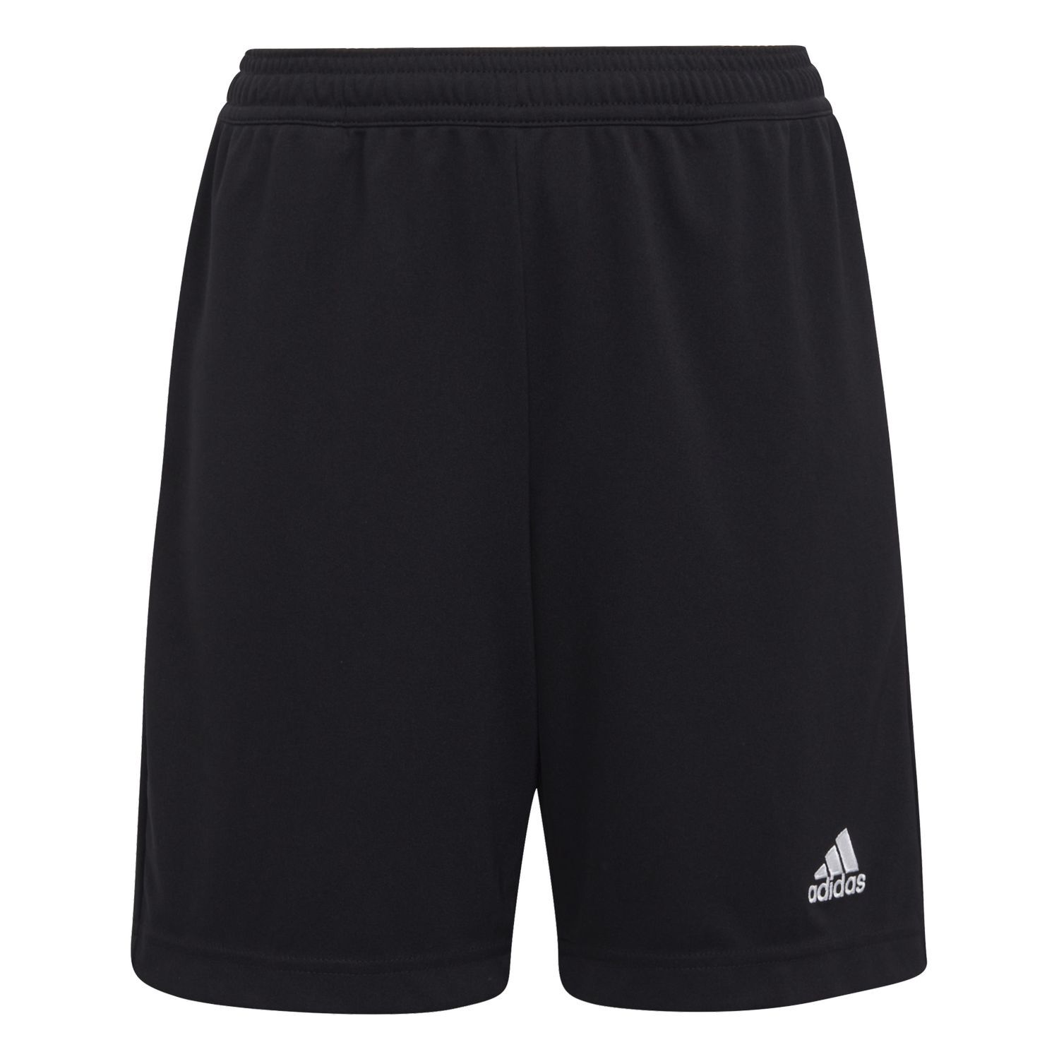 Adidas PerformanceENT22 TR SHOY