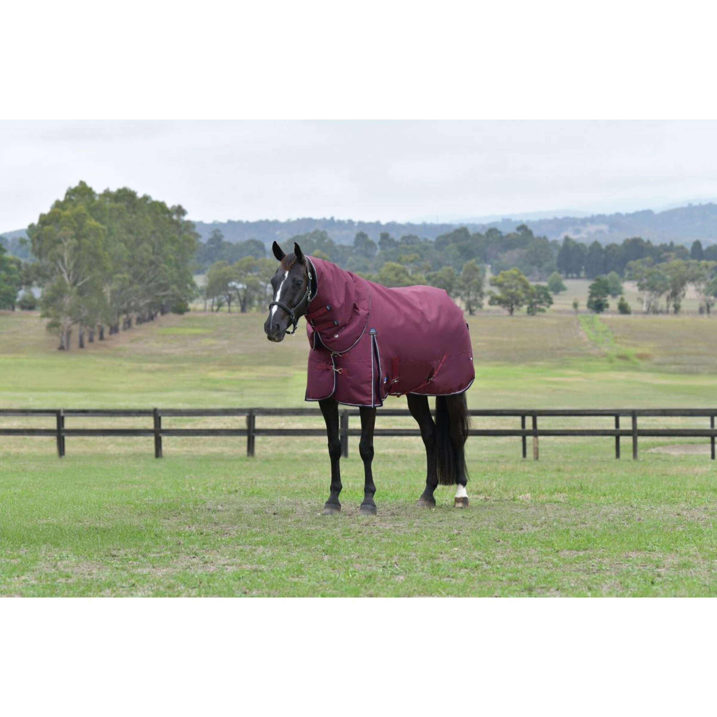 WeatherBeeta ComFiTec Essential Turnout Detach-A-Neck 220g Burgundy/Na