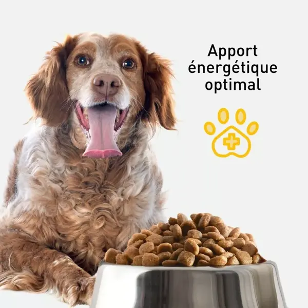 VetoNUT Ração para Cães Idosos 2,5kg