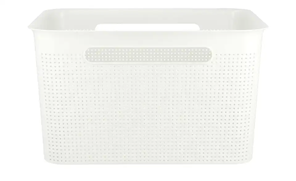Rotho Aufbewahrungsbox 36 cm