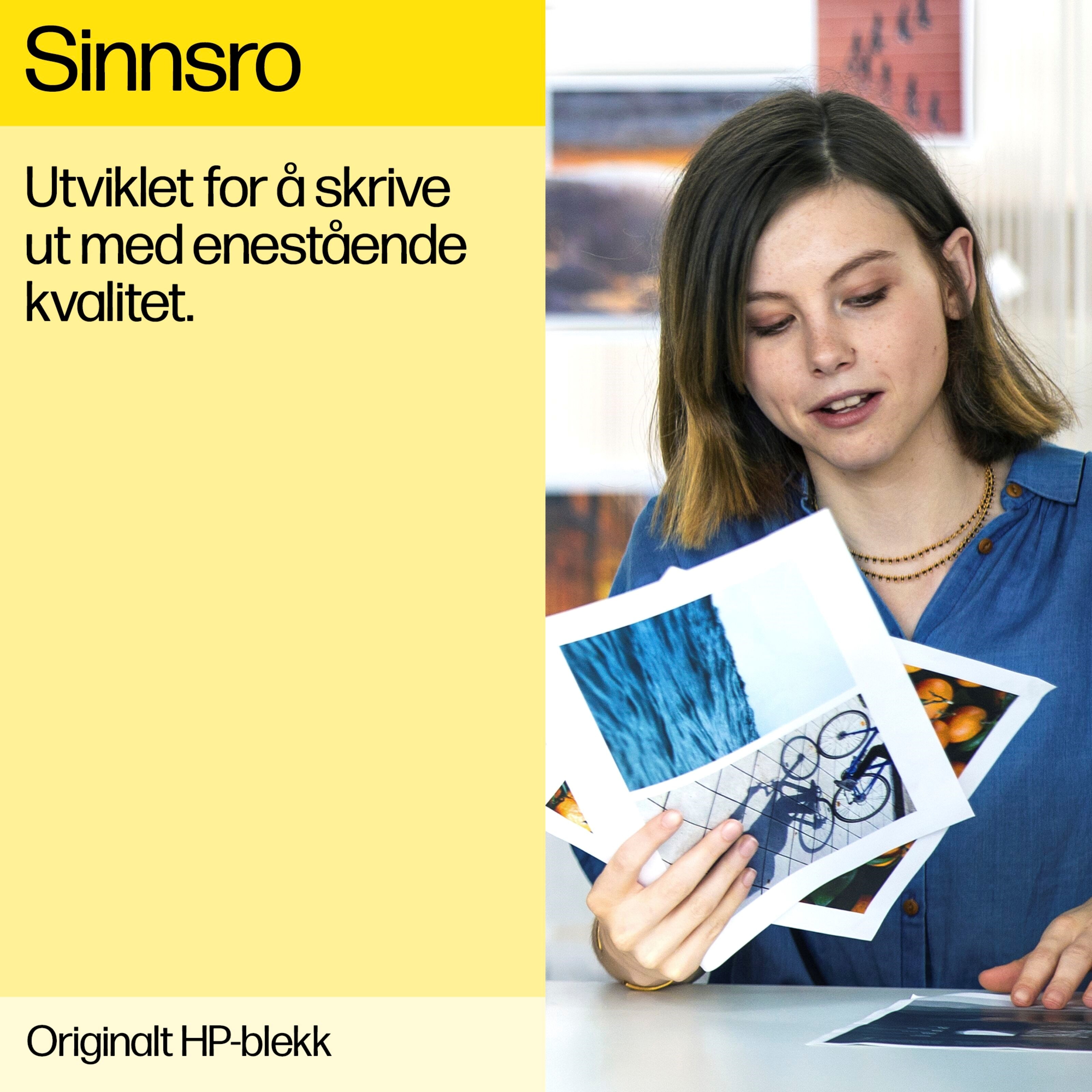 HP 303 Blekkpatron - Svart