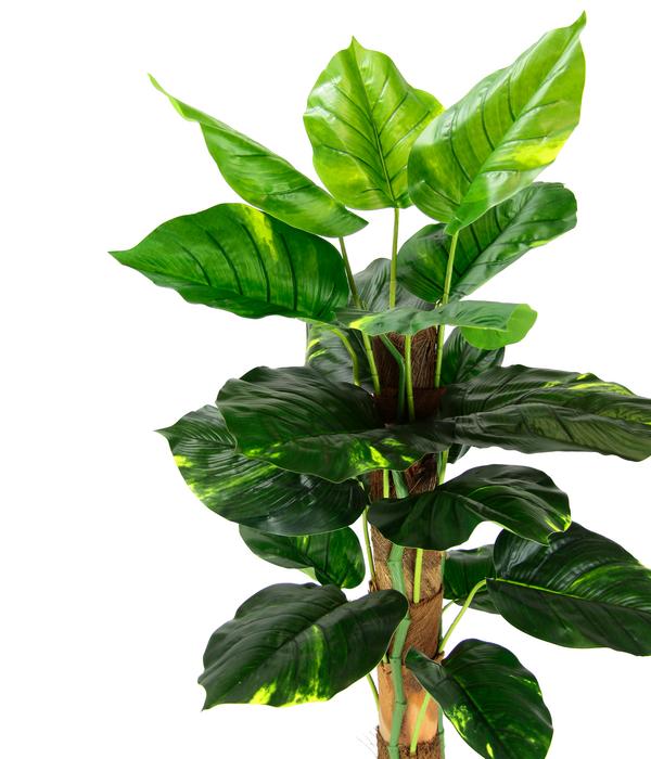 I.GE.A. Kunstpflanze Pothos im Topf, ca. H80