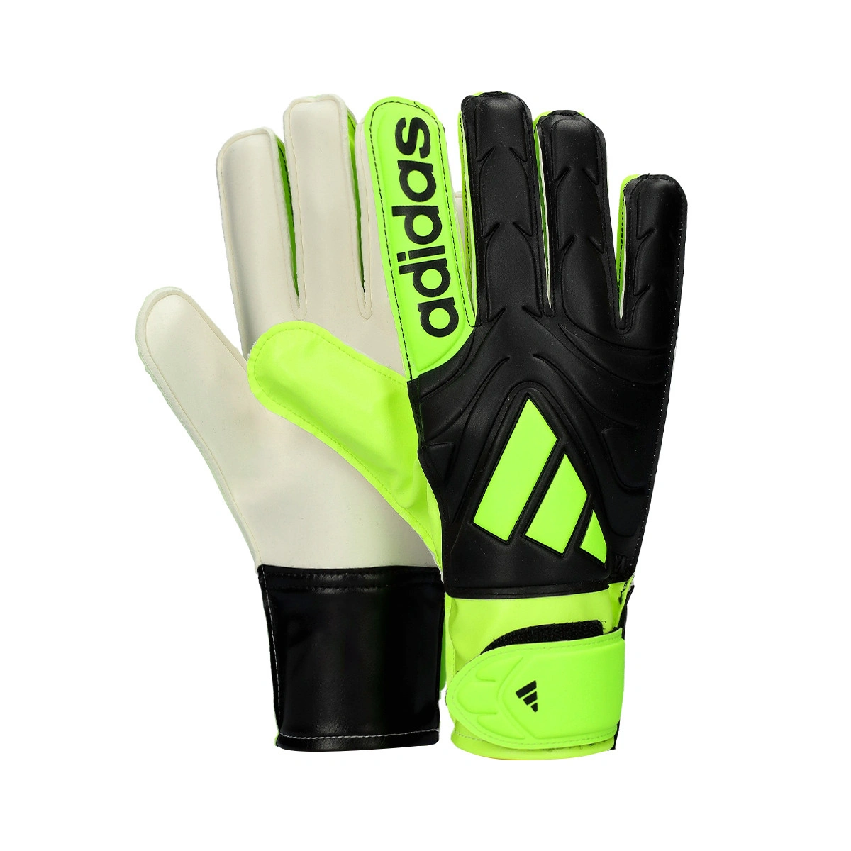 Luvas adidas Copa Club