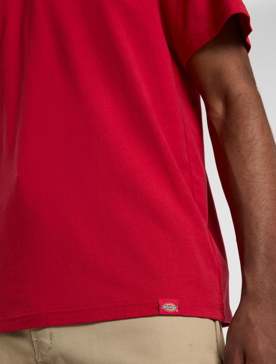 Dickies Lewistown SS Tee Egret