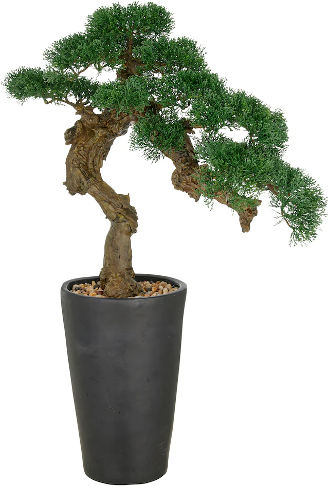Creativ green Kunstbonsai »Bonsai Zeder« im besonderen Pflanzgefäss