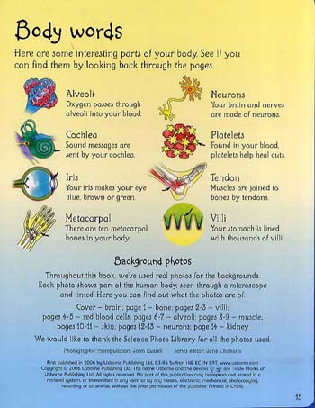 See Inside Your Body - See Inside (Board book)