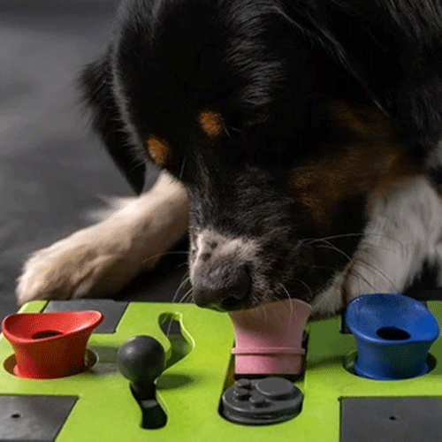 Eat Slow Live Longer Puzzle Antischrok Voerbak
