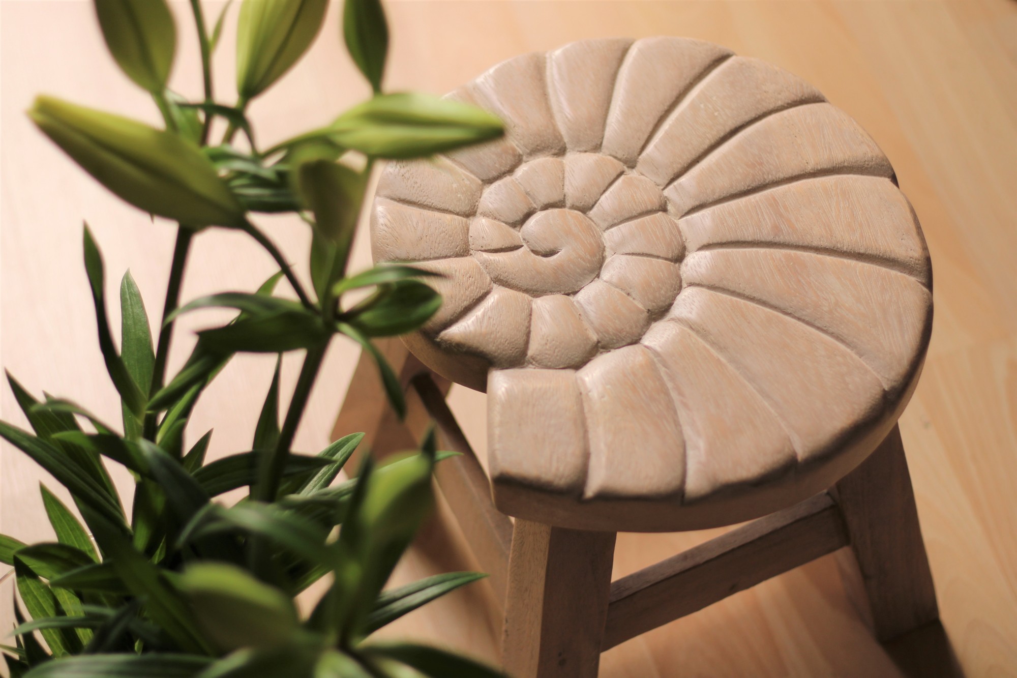 Hocker mit Motiv 'Schnecke', natur, Ø 25 cm, H 25 cm von fischer's lagerhaus