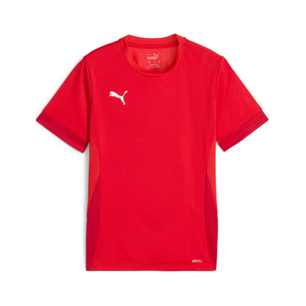 Camisola Puma teamGOAL Criança