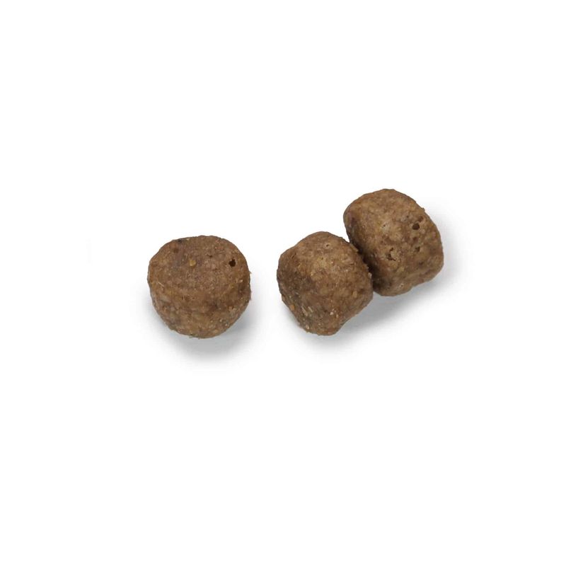 Happy Dog NaturCroq Puppy pour chiot