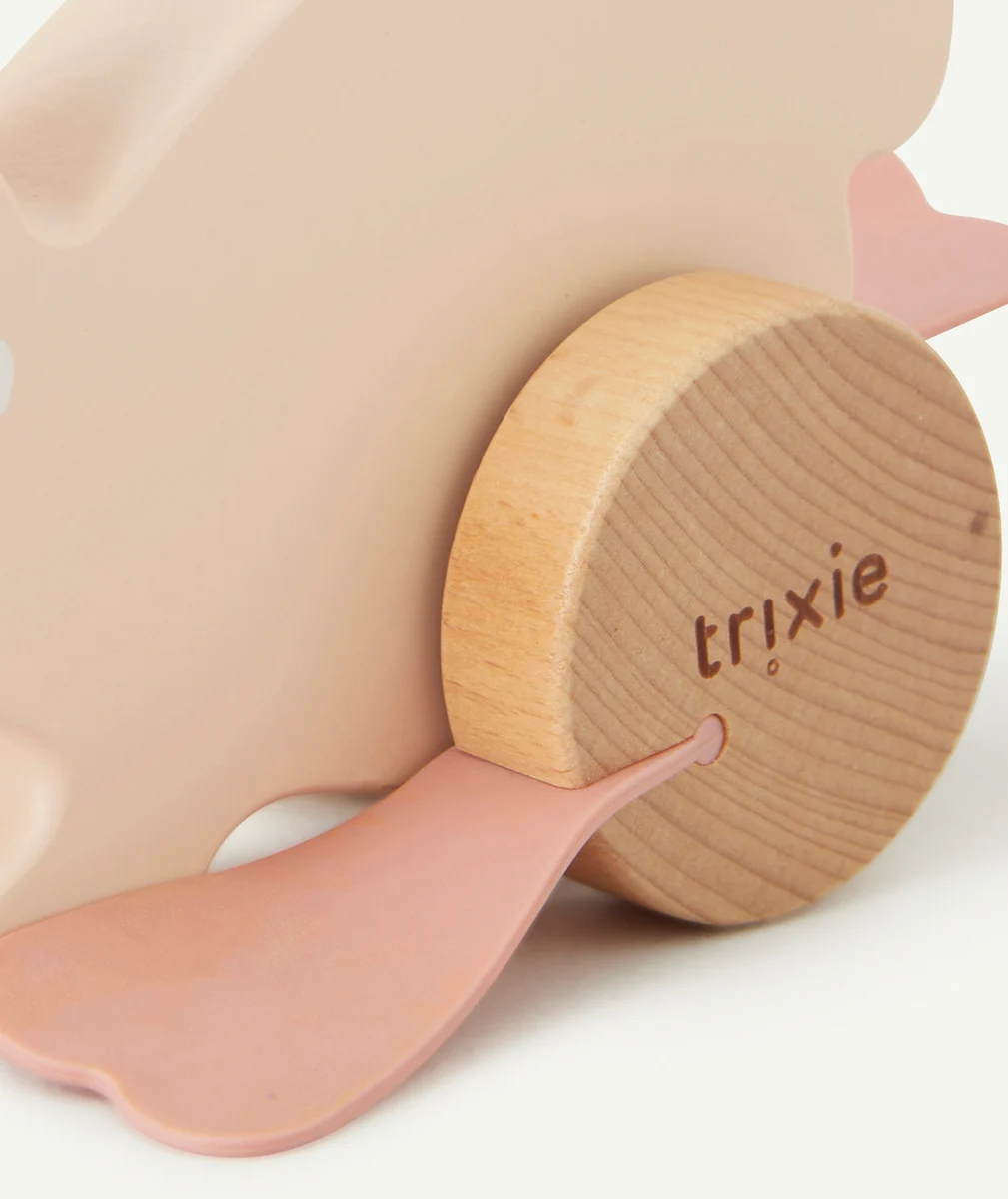 TRIXIEJOUET À POUSSER EN BOIS MONSIEUR LAPIN