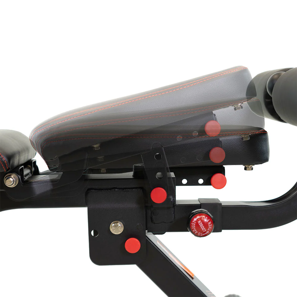 BH FITNESS Adjustable Weight Bench