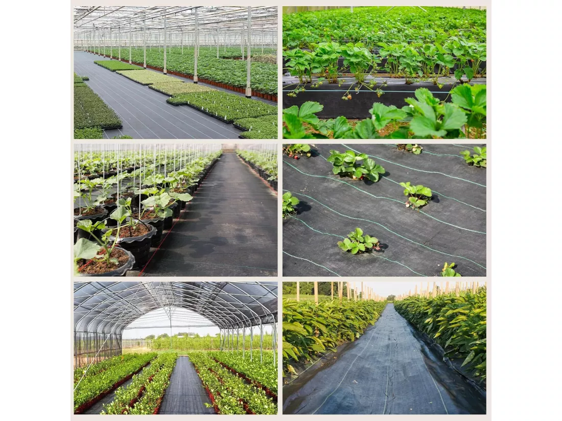 Membrane de contrôle des mauvaises herbes 4mx25m - toile de paillage pour serre - couvre-sol désherbant - anti UV perméable à l'eau