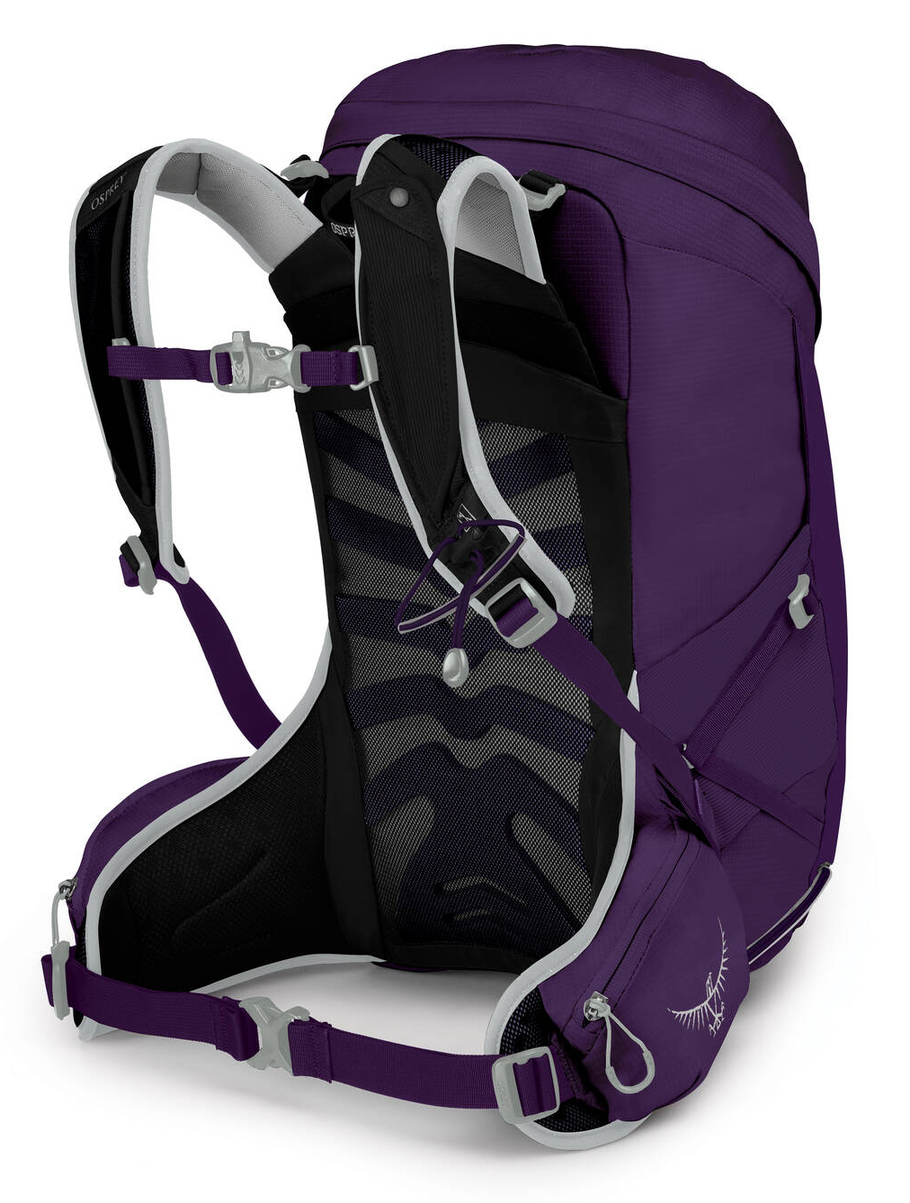 Tempest 24 413/Violac Purple