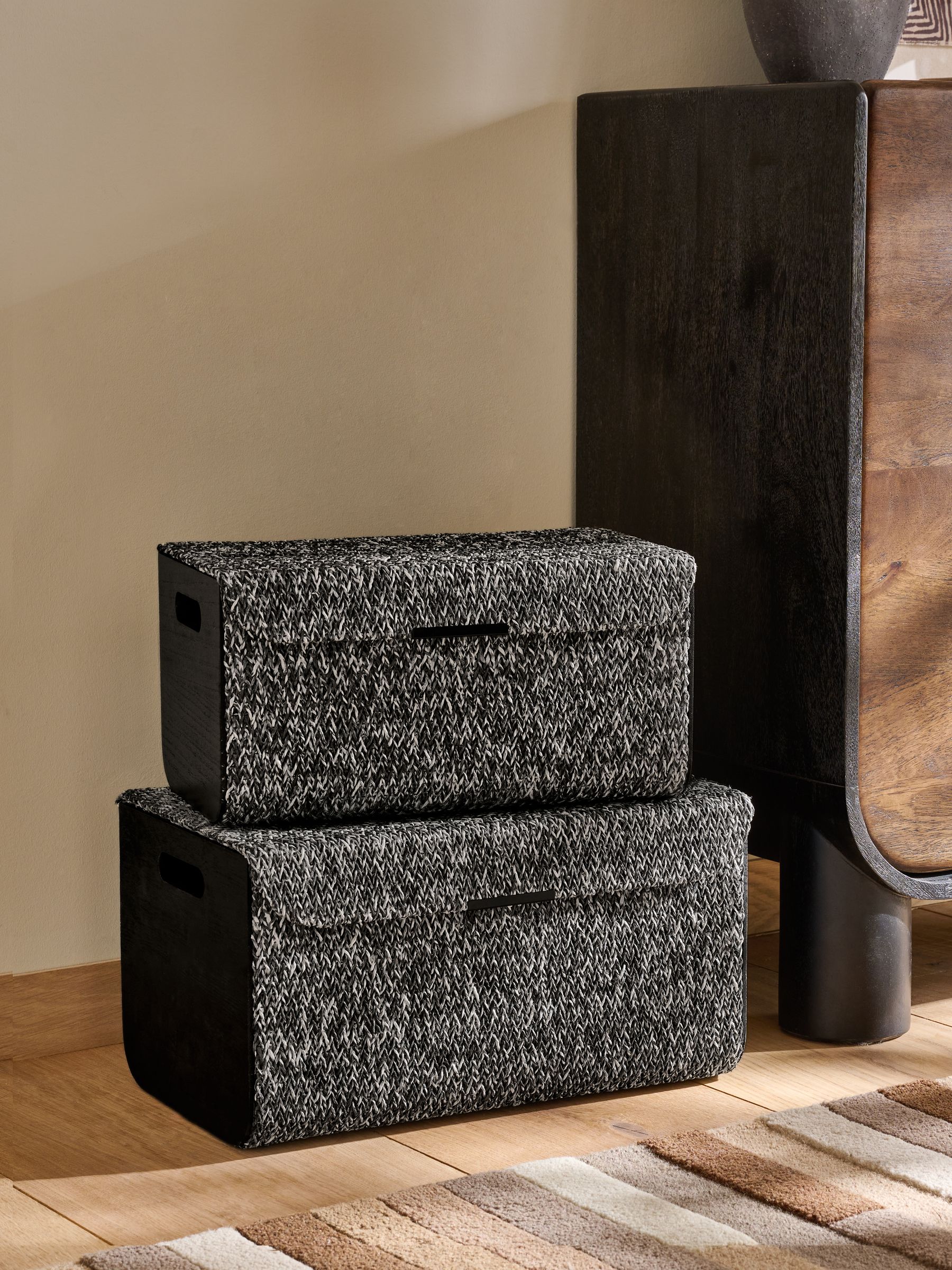 Set of 2 Bronx Storage Trunks